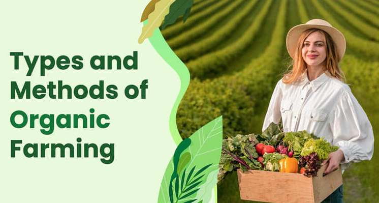 Organic Farming Techniques - www.krushimantri.com