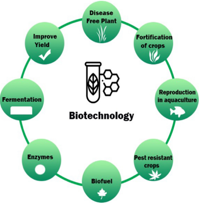 Biotechnology in Agriculture - www.krushimantri.com