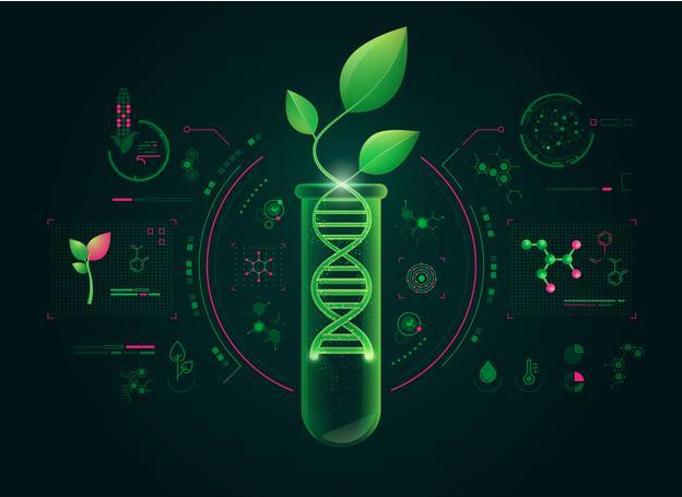 Biotechnology in Agriculture - www.krushimantri.com