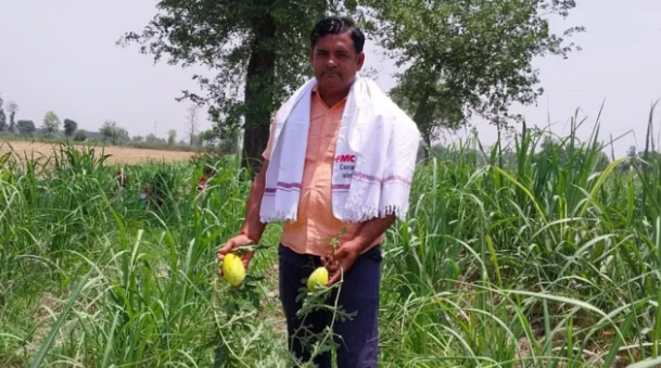 Uttar Pradesh Farmer Earns Rs 30-35 Lakh Annually Through Modern Sugarcane Farming Techniques