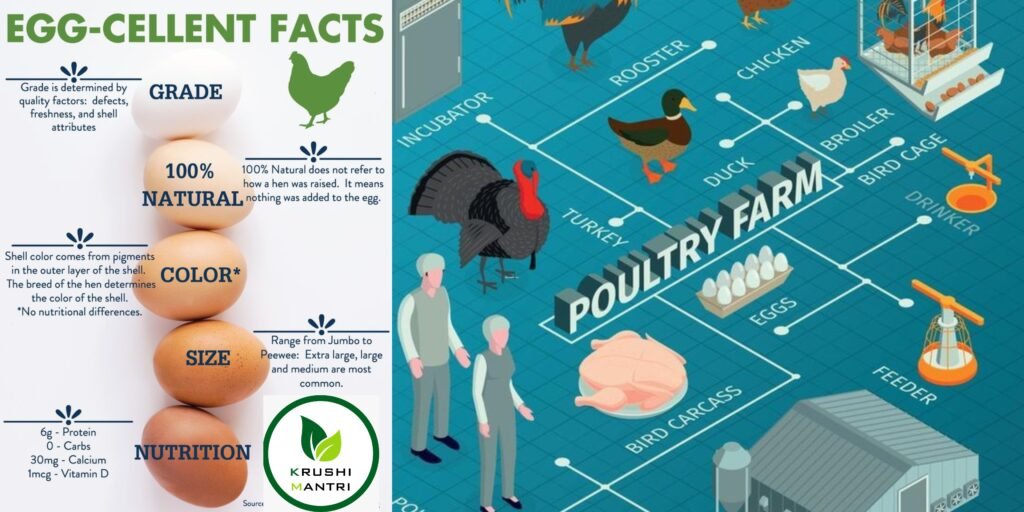 Poultry Farm Insurance