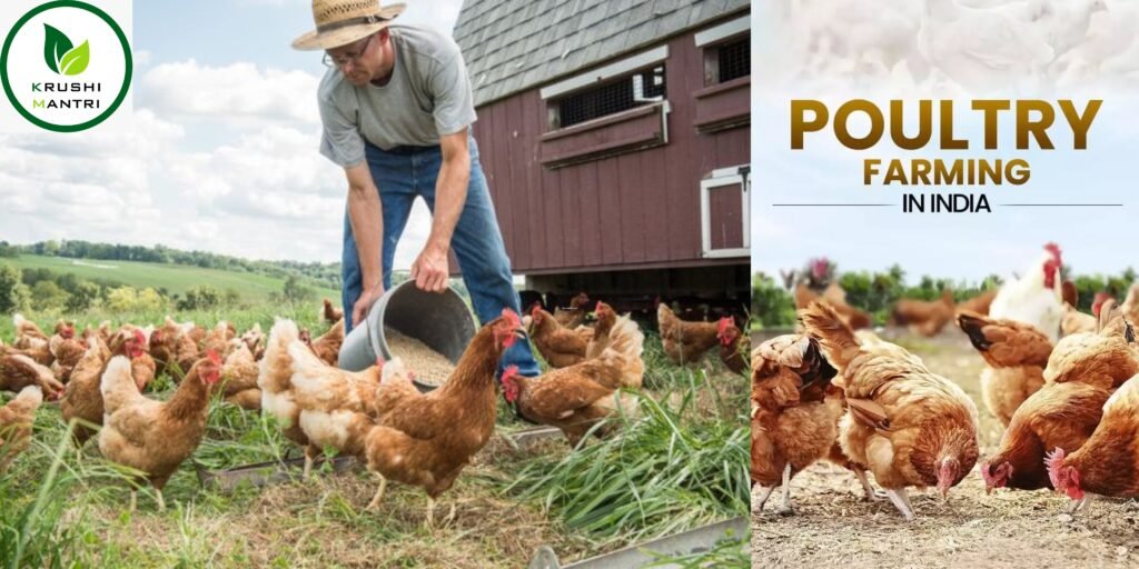 Poultry Farm Insurance