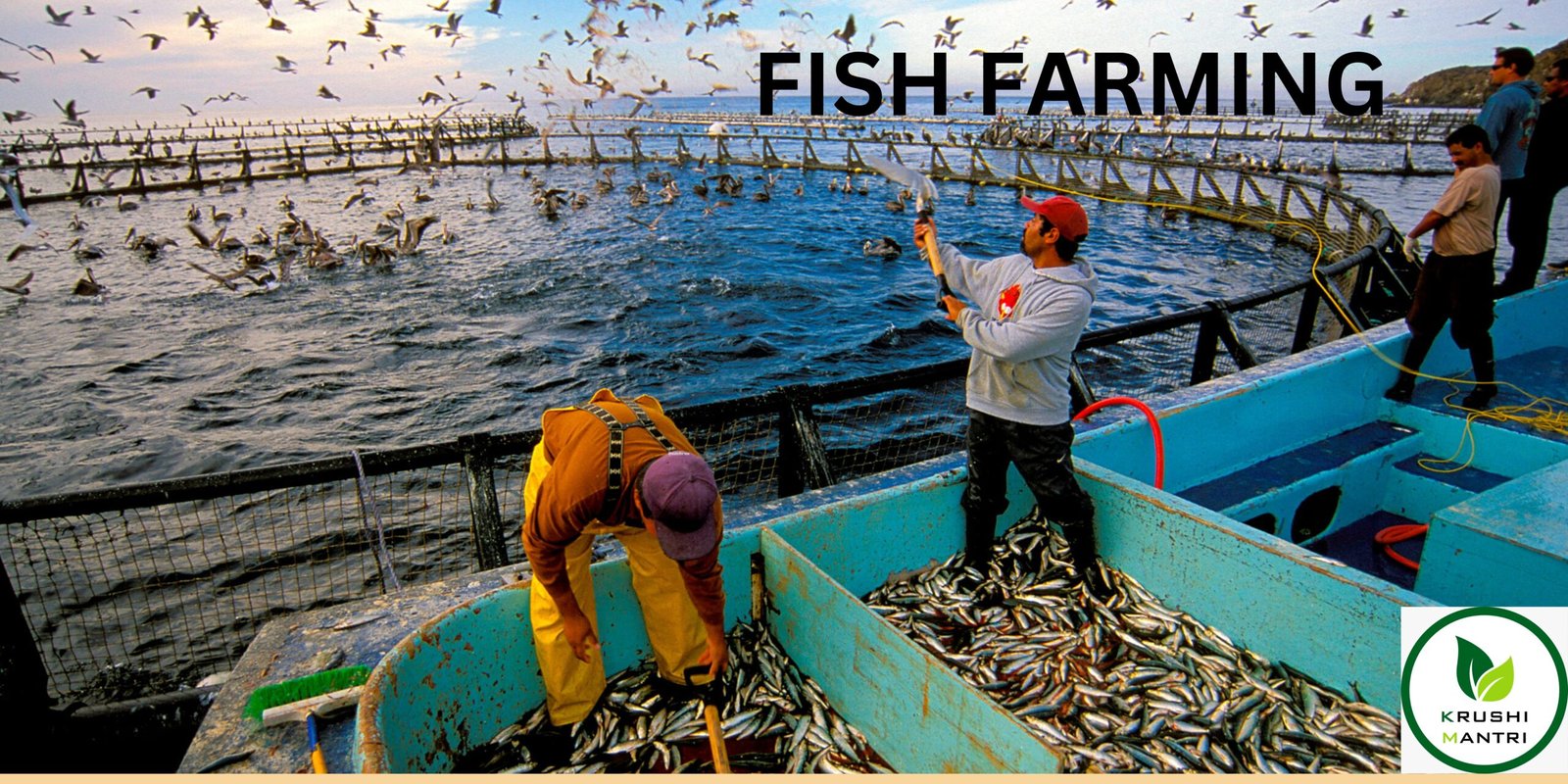 fish farming