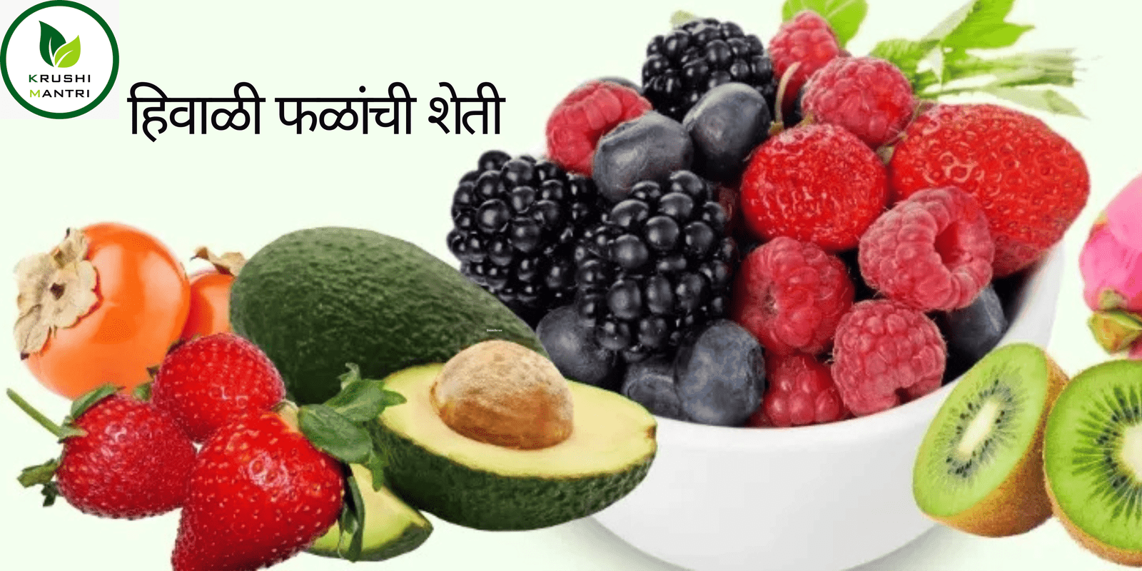 7 Must-Have Winter Fruits in Maharashtra: A Comprehensive Guide to Cultivation, Challenges, and Care