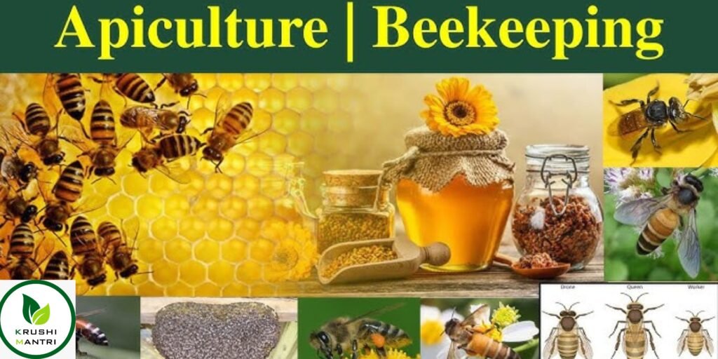 apiculture