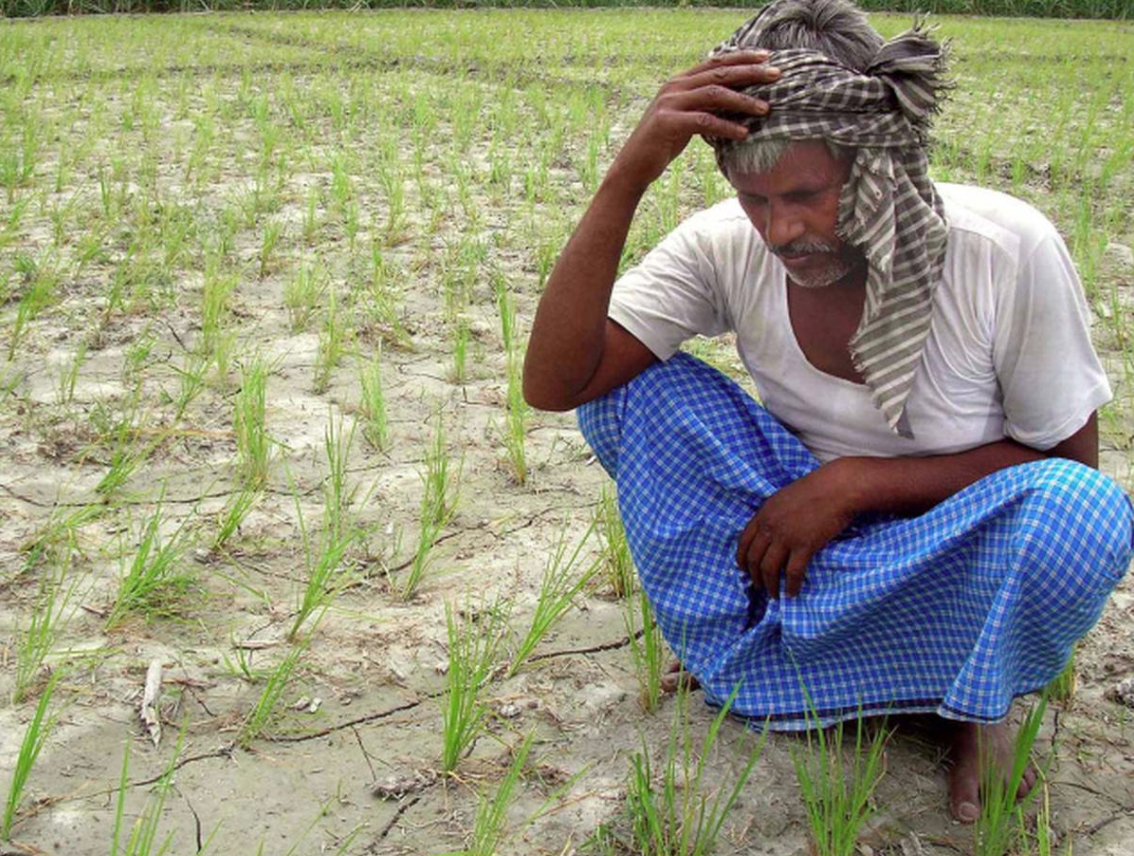 Farmers End Lives